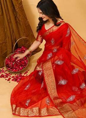 red organza sequin saree 3