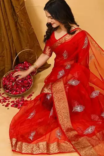 red organza sequin saree