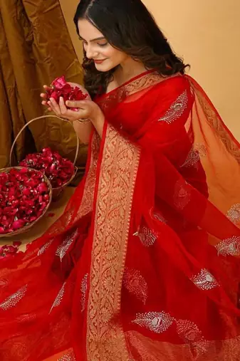 red organza sequin saree