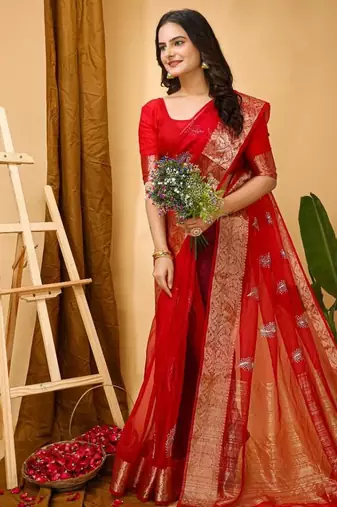 dark red organza sequin saree