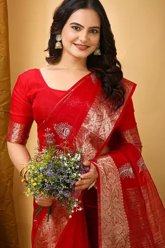 dark red organza sequin saree