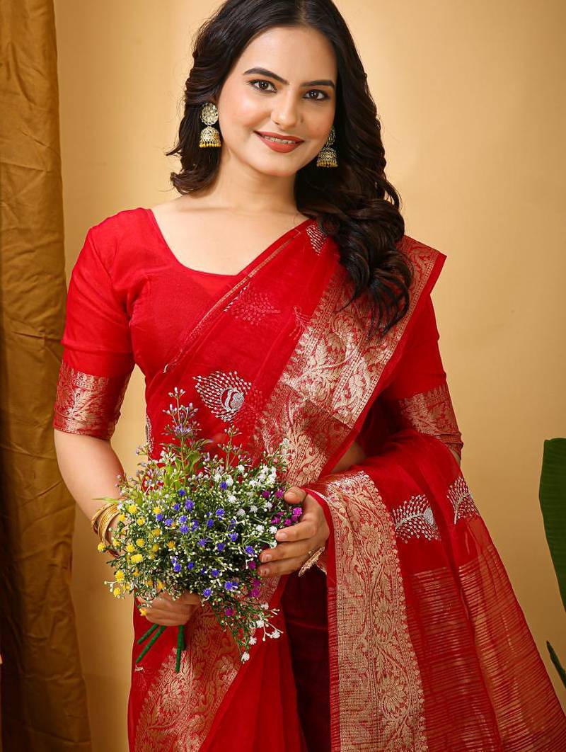 dark red organza sequin saree