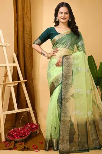 pista organza sequin saree