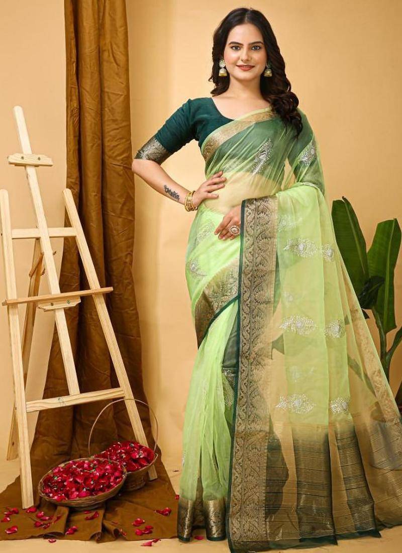 pista organza sequin saree