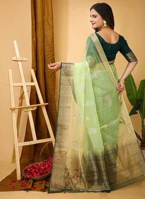 pista organza sequin saree 2