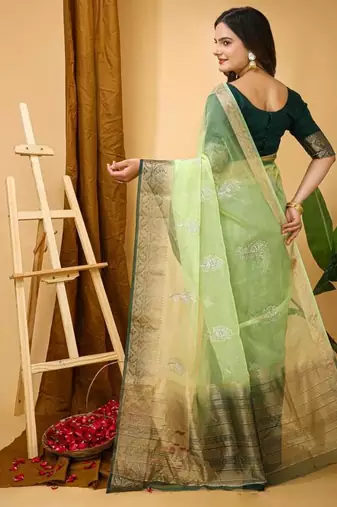 pista organza sequin saree