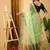 pista organza sequin saree