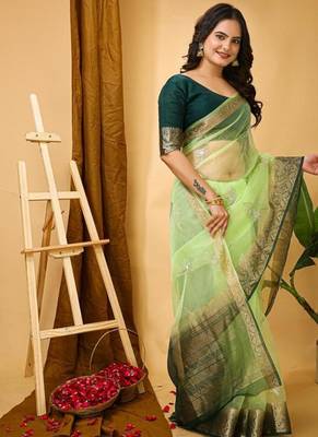 pista organza sequin saree 3