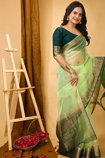 pista organza sequin saree