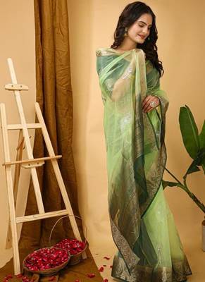 pista organza sequin saree 4