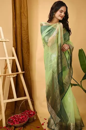 pista organza sequin saree