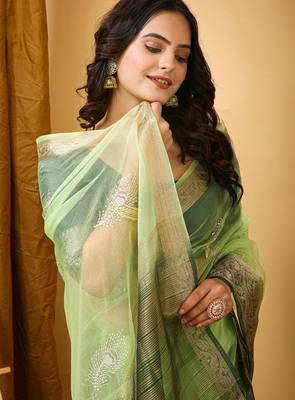 pista organza sequin saree 5