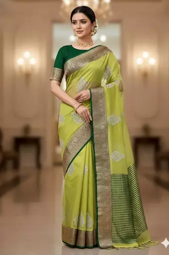 perrot green organza embroidered saree