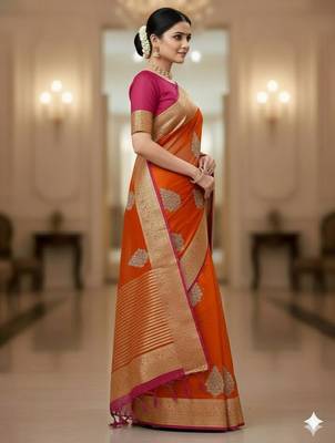 organza organza embroidered saree 2
