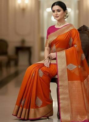 organza organza embroidered saree 3