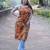 orange kalamkari kurti