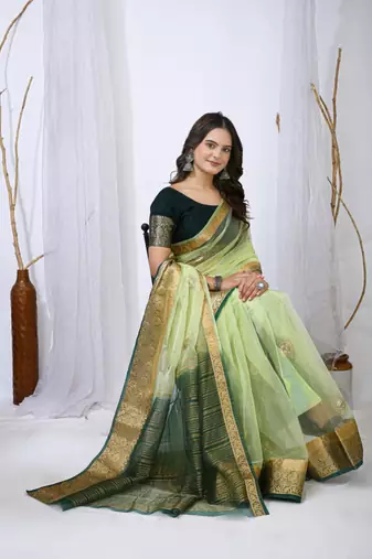 pista organza embroidered & jacquard border saree with blouse