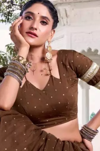 dark bronze chanderi woven lehenga choli