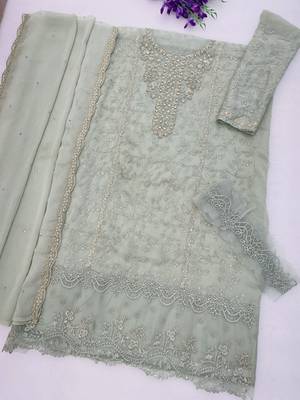 Sea green chiffon thread embroidered sequin salwar suit 2