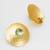 gold-plated hammered disc stud earrings with aqua green stone