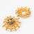gold plated temple work kundan and pearl stud earrings