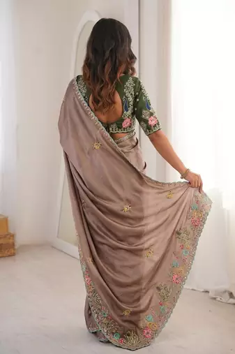 Brown Designer Fancy Embroidered Border Saree