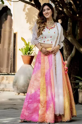 multicolor organza printed lehenga choli with dupatta