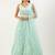 blue net embroidered lehenga choli with dupatta