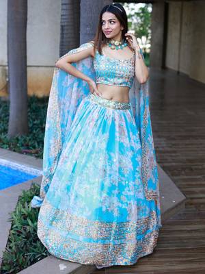 sky blue organza embroidered lehenga choli with dupatta 5