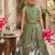 New girls earthy olive green pichwai embroidered lehenga choli set