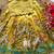 New kids vibrant yellow pichwai embroidered lehenga choli set