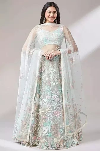 light green net embroidered lehenga choli with dupatta