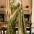 Mehendi green woven art silk saree with blouse
