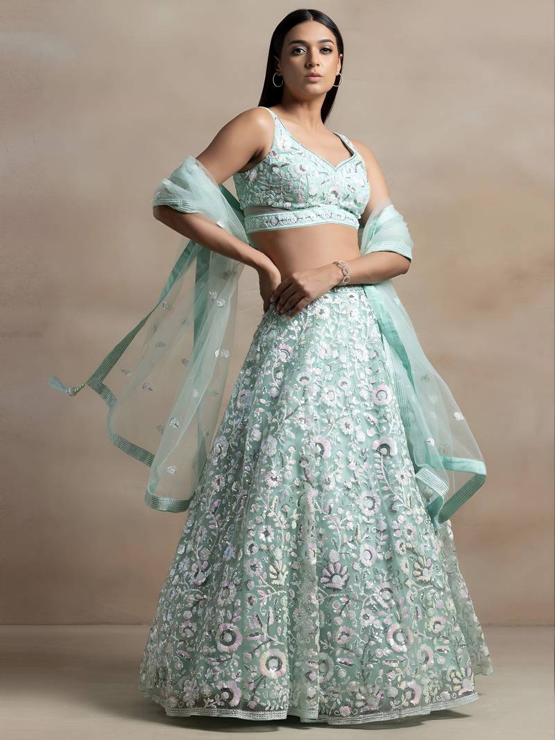sky blue net embroidered lehenga choli with dupatta
