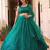 teal blue net embroidered lehenga choli with dupatta