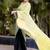 yellow ombre chinnon saree with unstitched blouse