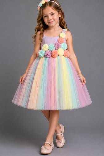 Multicolor embroidered organza dress