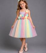 Multicolor embroidered organza dress