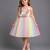 Multicolor embroidered organza dress