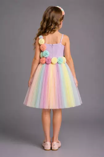 Multicolor embroidered organza dress