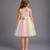 Multicolor embroidered organza dress