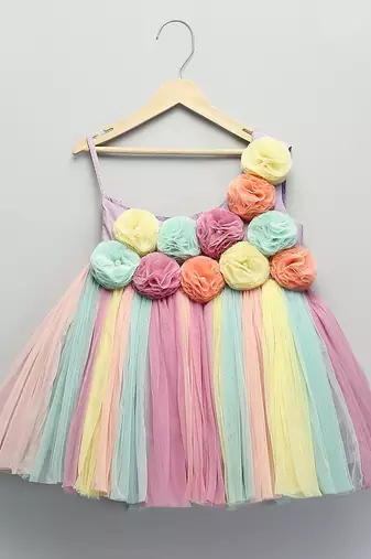 Multicolor embroidered organza dress