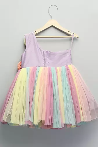 Multicolor embroidered organza dress