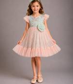 Peach pastel green printed net dress