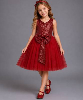 Red embroidered net dress 1