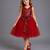 Red embroidered net dress