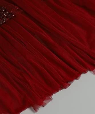 Red embroidered net dress 3