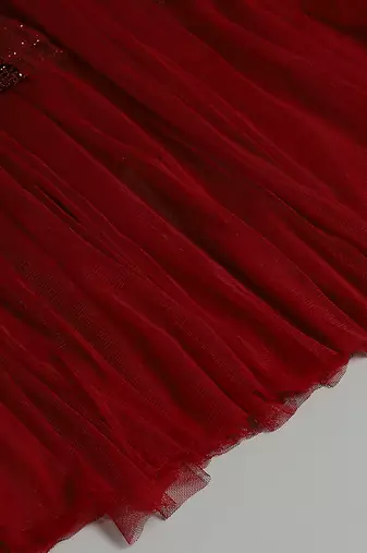 Red embroidered net dress