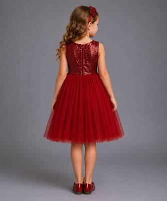 Red embroidered net dress 4