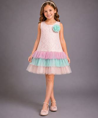 Baby pink embroidered organza dress 1